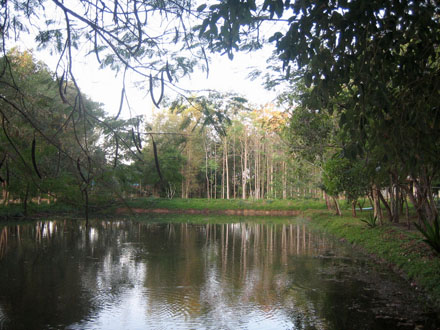 vipassana-prachinburi-lake